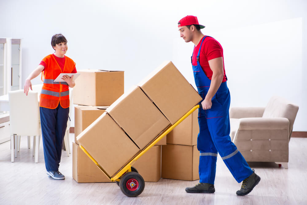 Full-service Services Wylie