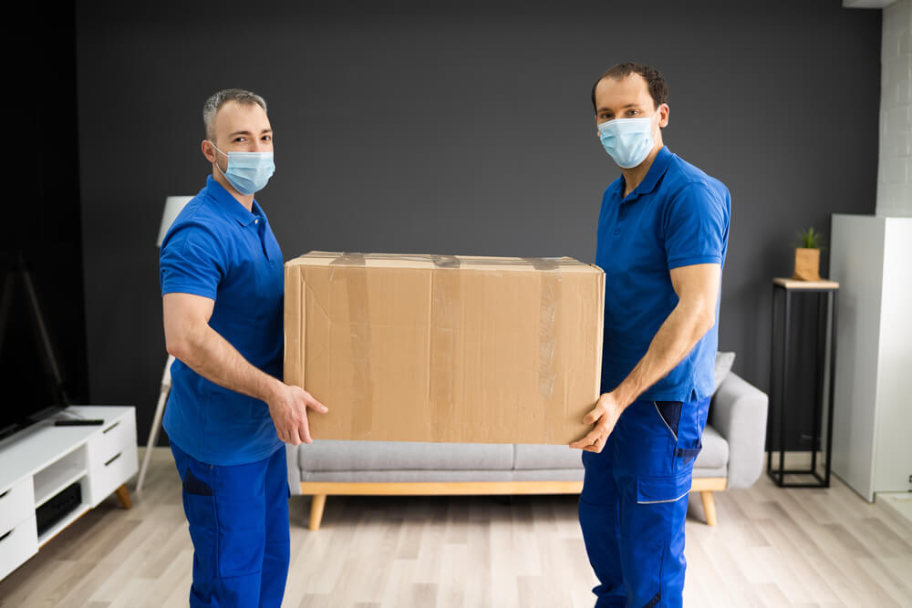 Professional Packing Help