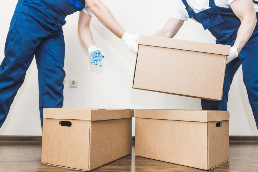 Moving Company Reviews Orlando