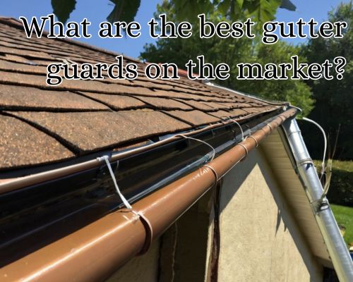 A gutterguard lines the edge of the roof.