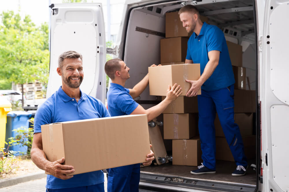 Experienced Moving Team